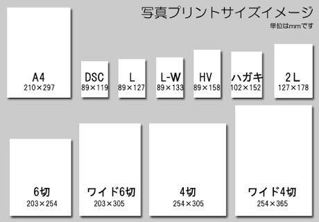 ハガキより小さい写真のサイズって何ですか サイズと言うか Lサイ Yahoo 知恵袋