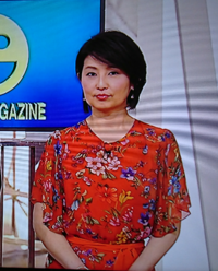 フジテレビ時代の小島奈津子の人気ってどれ位でしたか 当時は Yahoo 知恵袋