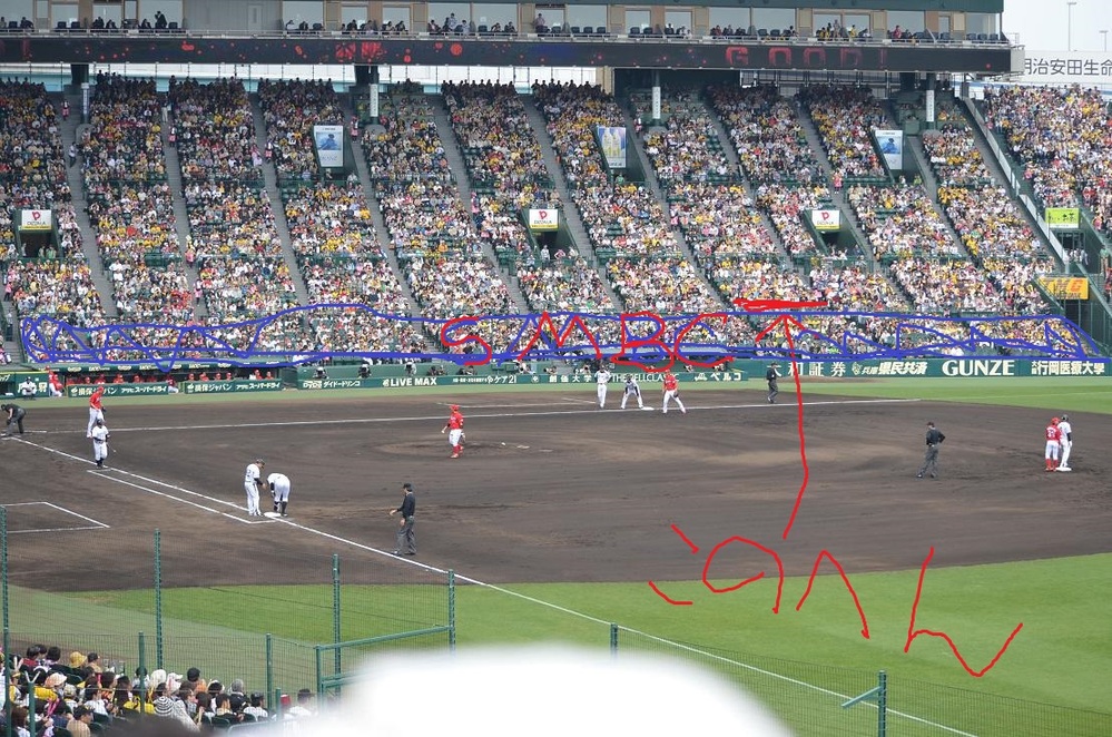 甲子園のブリーズシートとアイビーシートの違いはなんですか 