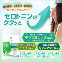 抗うつ剤の離脱症状について質問させてください レクサプロを飲み始めて約三 Yahoo 知恵袋