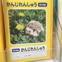 ダイソーに漢字練習帳って売ってますか 売ってた場合 マス 字数 って Yahoo 知恵袋