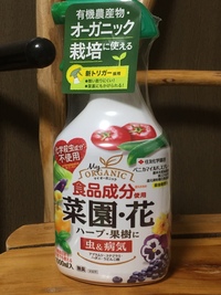 アブラムシの予防について教えて下さい スペアミントを栽 Yahoo 知恵袋