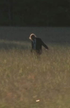 ウォーキング デッドのタイトル画面 オープニング あの草原を歩いてる Yahoo 知恵袋