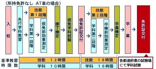 卒 検 人気 本 免 期間