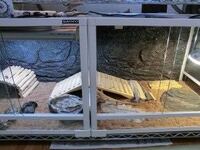 フトアゴのケージについて迷っています フトアゴ飼育の為のケージをワ Yahoo 知恵袋