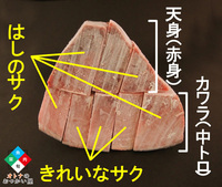 中トロ柵の読み方は ちゅうとろさくでよろしいですか そうです Yahoo 知恵袋