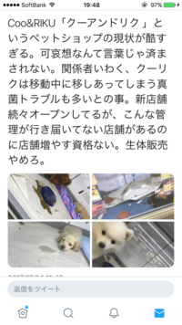 ペットショップのｃｏｏ ｒｉｋｕという店は 何故あんなに安いのでしょうか Yahoo 知恵袋