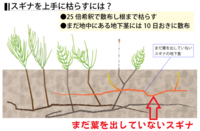 スギナやヨモギやドクダミなど 根っこが厄介な草が沢山生えている場所を花 Yahoo 知恵袋