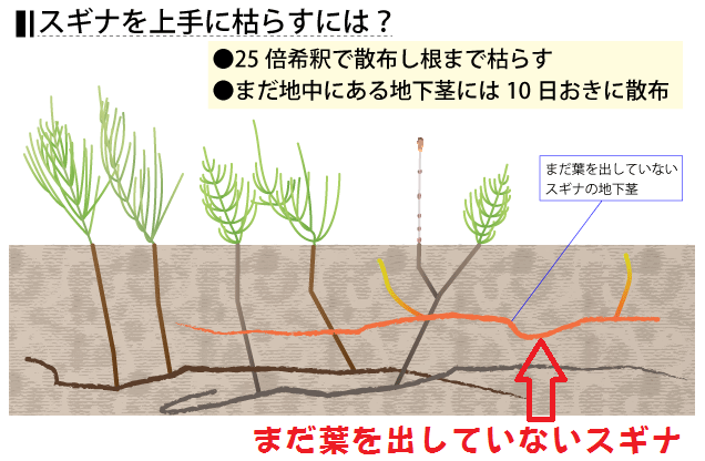 スギナやヨモギやドクダミなど 根っこが厄介な草が沢山生えている場所を花壇に Yahoo 知恵袋