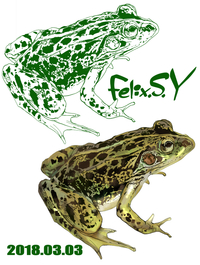 カエルみたいな動物を描きたいのですがどうやって色鉛筆でリアルに描きますか Yahoo 知恵袋