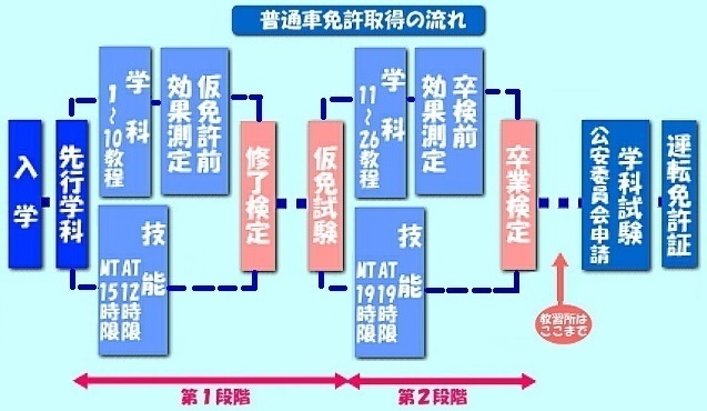 卒 検 人気 本 免 期間