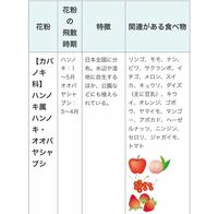 りんご メロン 柿 トマトを食べると 喉がかゆくなります これってア Yahoo 知恵袋