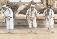 殆どの韓国人は 肌が白い人いんですか 遺伝なんですか 男でも白い人が多い Yahoo 知恵袋