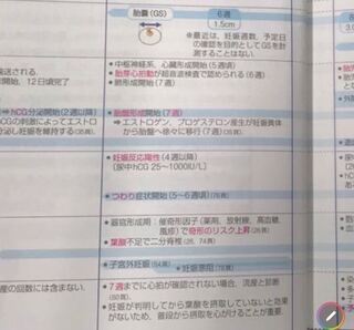 初妊娠にて 7週目に入ったところです 先週5週後半には胎嚢17ミ Yahoo 知恵袋