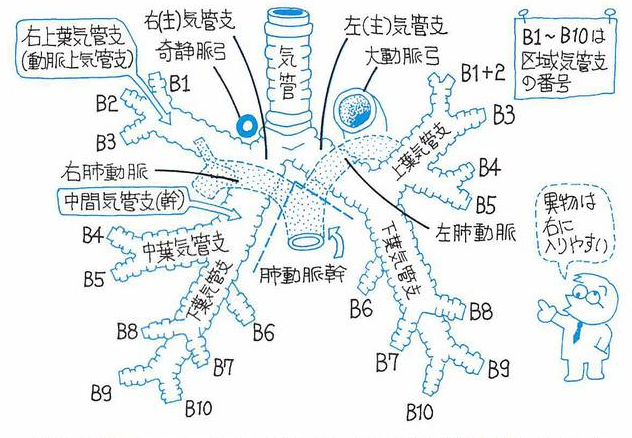 問題一覧 臨床工学技士国家試験対策サイト