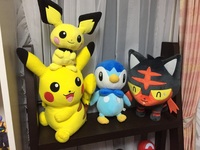 代の男です ポケモンのぬいぐるみやフィギュアなどのグッズを集めるのが Yahoo 知恵袋