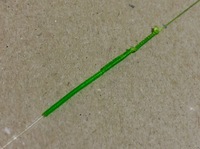 Fgノットパッと見でこれで合ってそうですか 青物用に40回ほど編 Yahoo 知恵袋