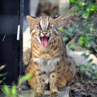 喧嘩になりました デリカシーのない彼氏 おもったままを言ってしまう彼氏 喋 Yahoo 知恵袋