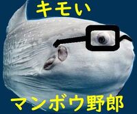 嫌いなyoutuberはいますか 私はヒカルラファエルシバターよりひ Yahoo 知恵袋