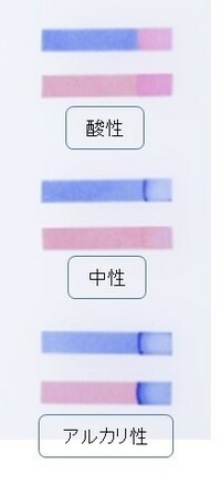 リトマス試験紙の結果の見方を教えてください これは中性で Yahoo 知恵袋