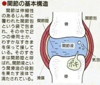 教えて下さい 海老名 大和 湘南台周辺の整体で骨をポキポキ鳴らしてアジャ Yahoo 知恵袋