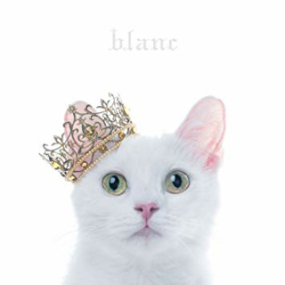 Aimerのblancとnoirのネコの画像をiphone7の待受にした Yahoo 知恵袋
