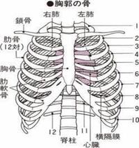 中2女子です 左胸のすぐ下がほぼ毎日で 右胸のすぐ下がたまにです Yahoo 知恵袋