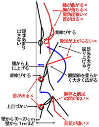 壁倒立のコツを教えて下さい 足を振り上げろ と言われているのですがど Yahoo 知恵袋