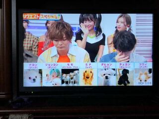 Twiceのメンバーが飼っているペットの写真と名前を全部教えてください Yahoo 知恵袋