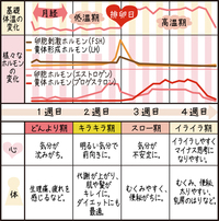 ダイエットと生理周期について 今年に入って8キロほどダイエットに成功したもの Yahoo 知恵袋