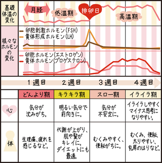 ダイエット 生理 前 太る