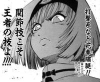 相手は魔法少女や飛び道具なのにその中をかいくぐって肉弾戦をする主人 Yahoo 知恵袋