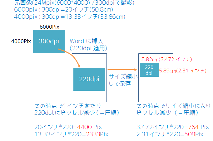 Word2016に挿入した画像のサイズが全て同じ大きさで表示されます