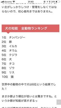 犬の知能指数ってどのくらい 人間の2 3歳くらいでトレーニン Yahoo 知恵袋