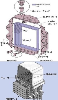 回答の画像