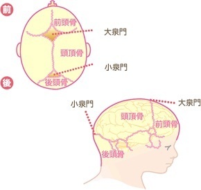 赤ちゃん 頭 くぼみ 赤ちゃん 頭 くぼみ Imagejoshhes