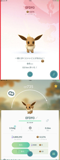 イーブイを昼間にエーフィに進化させるポケモンgoでのスペシャルリワードですが Yahoo 知恵袋