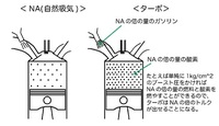 回答の画像