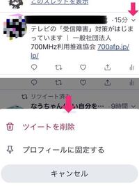 Twitterで固定ツイートをしたいのですが できなくて やり方 Yahoo 知恵袋