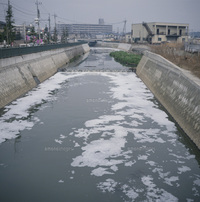 カーシャンプー 川