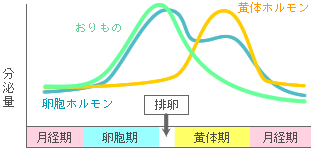 おり の もの 前 生理