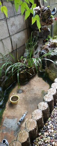 庭に人工池を作り滝を流しています 冬は稼働しないで水は抜くつもりでいるの Yahoo 知恵袋