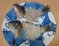 ブルーギルは 美味ですか 食べれる魚ですか 皮に臭みがあるので 臭 Yahoo 知恵袋