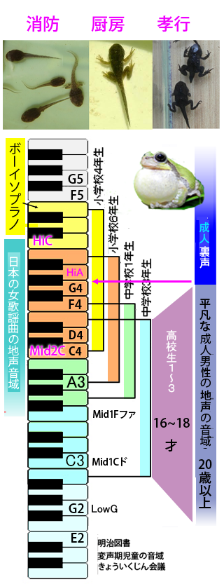 男性曲が歌えない男子高校生です カラオケに行くと 女性の曲ばかり歌いま Yahoo 知恵袋