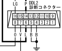 回答の画像