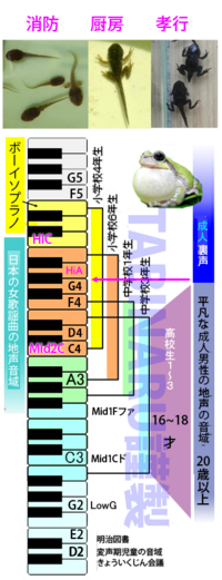 失敗 声変わり