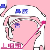 鼻をかんでも黄色い鼻水は出ないのに喉に落ちる鼻水だけが黄色なのです Yahoo 知恵袋