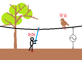 鳥が電線にとまっても感電しないのは何故でしょうか 類似の質問が多くあり その Yahoo 知恵袋