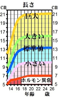 七時半 なくなる コンパイル 睾丸 大き さ Mb Nagasaki Jp