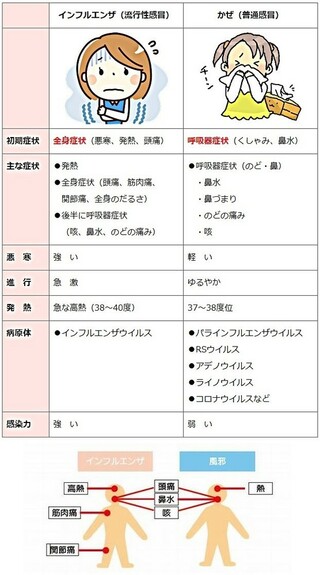 風邪とインフルエンザの主な違いはなにで判断力します 熱ですか 風邪とイン Yahoo 知恵袋